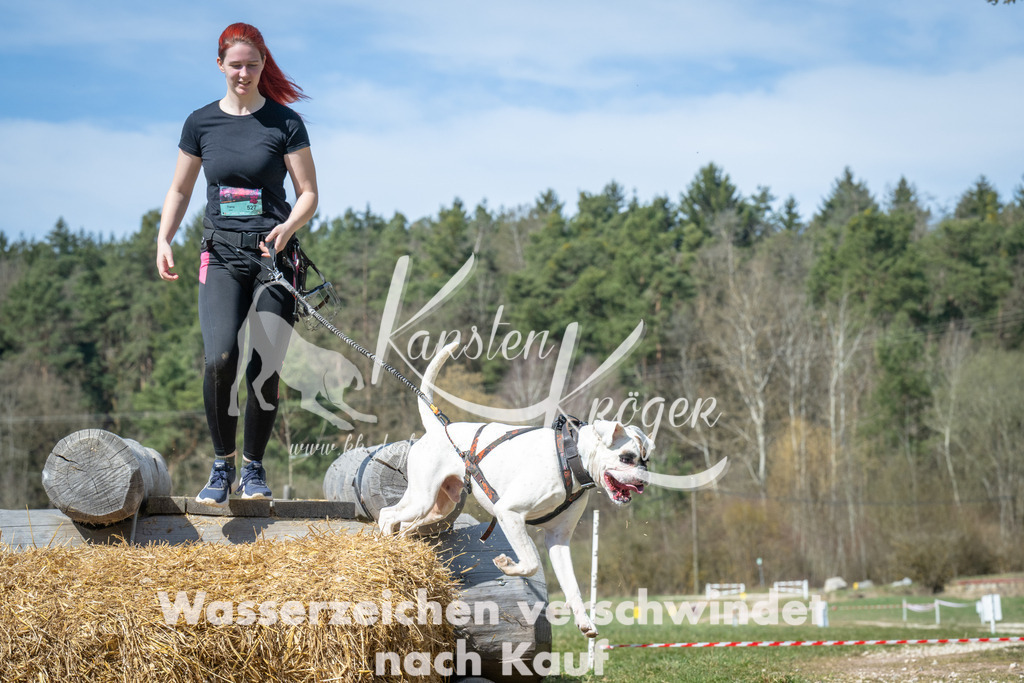 1219_ZZ99276 | kk-dogfotos