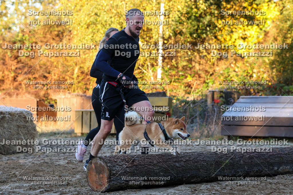 Dog Paparazzi - Strongdog 10-25-516 | Dog Paparazzi Jeanette Grottendiek Fotografie & Videografie - Realisiert mit Pictrs.com