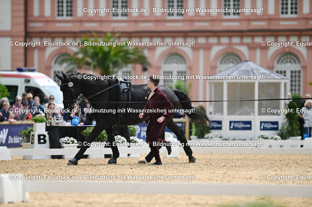 20250608_CVI-Masterclass_0294 | Foto: Thomas Hartig