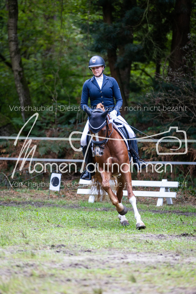 HB-A-Dressur-184 | MomenTaufnahmen Pferdesportfotos