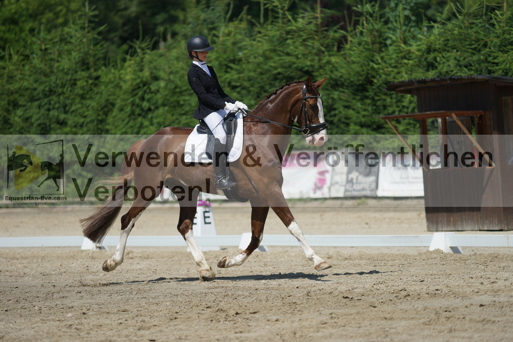 DSC01643 | equestrian-live-com