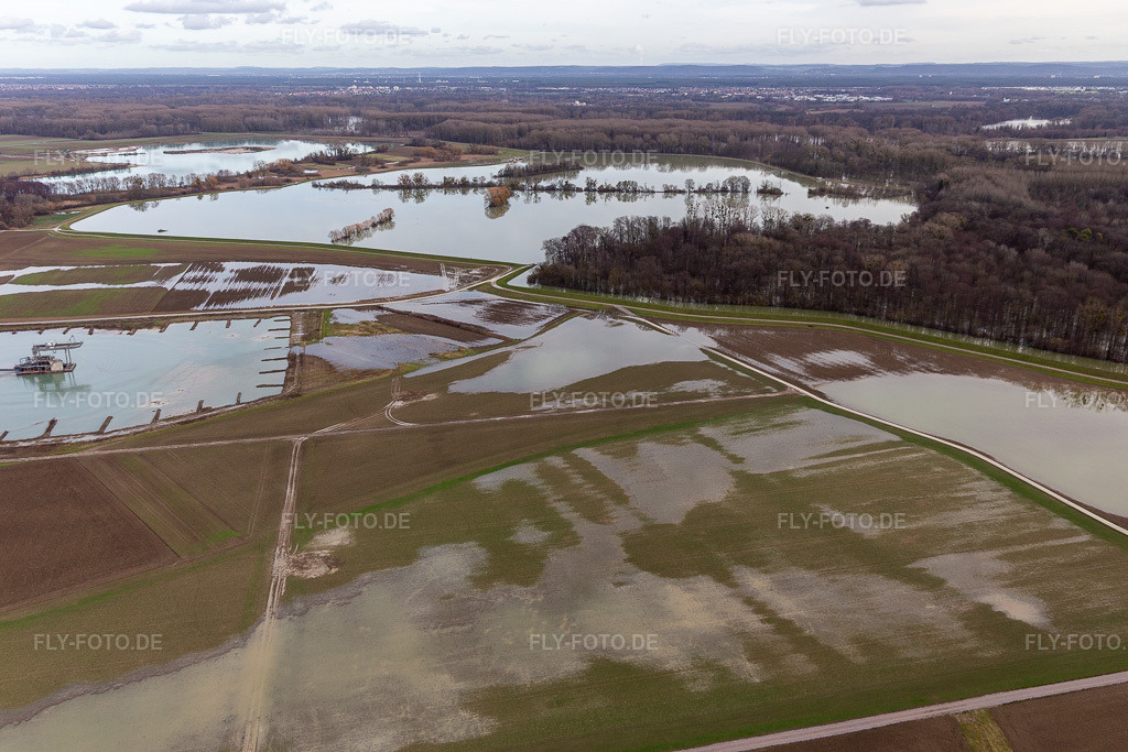 Luftbild: Überfluteter Altrhein / Polder Neupotz in Jockgrim im Bundesland Rheinland-Pfalz in Deutschland. Foto: IMG_124206.jpg vom 04.02.2021 durch Werner Riehm/FLY-FOTO.de