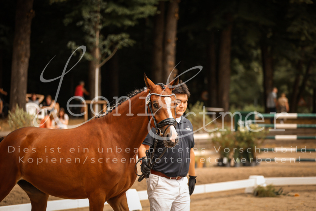 11.So00003 | Leoni Ertmer Photography - Realisiert mit Pictrs.com