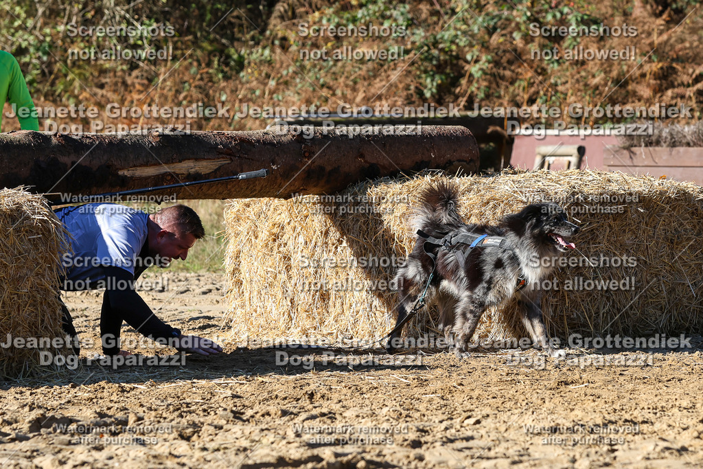 Dog Paparazzi - Strongdog 10-25-2428 | Dog Paparazzi Jeanette Grottendiek Fotografie & Videografie - Realisiert mit Pictrs.com