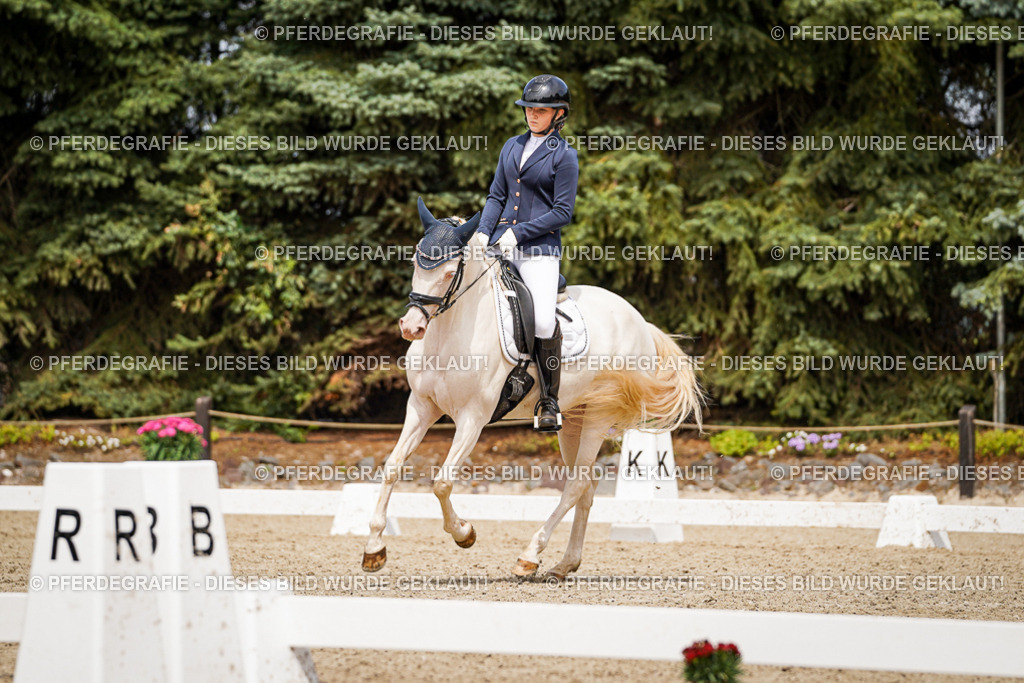 DSC04245 | Pferdegrafie