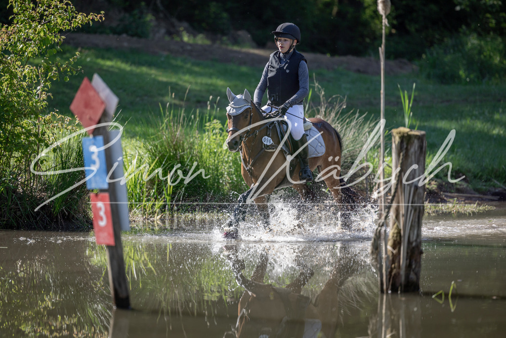 20260523-_3LI6363 | Tierfotografie Pferde, Hunde, Katzen, Haustiere.
Turnierfotografie Reitturniere, Reiten, Springreiten, Dressur in Hanau, dem Main-Kinzig-Kreis und dem Rhein-Main- Gebiet um Frankfurt