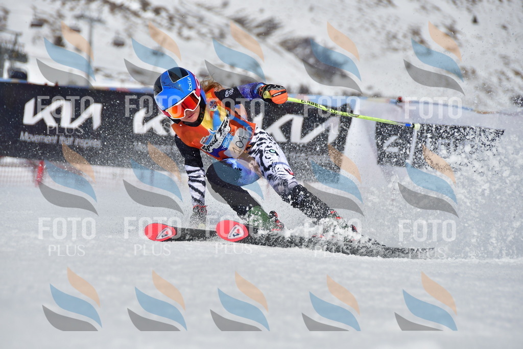 _DSC7636 | holidayphoto