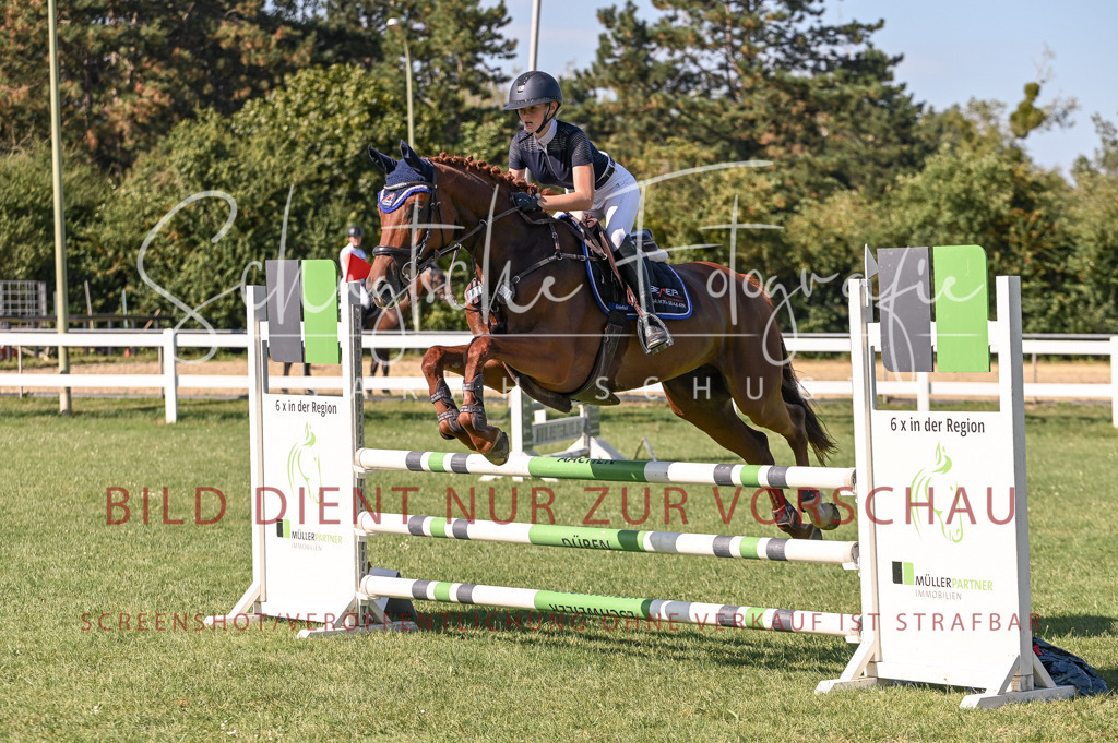 Schugtsche-Düren.2024-11.Mannsch.Springprf.A-40 | Schugtsche Fotografie - Realisiert mit Pictrs.com