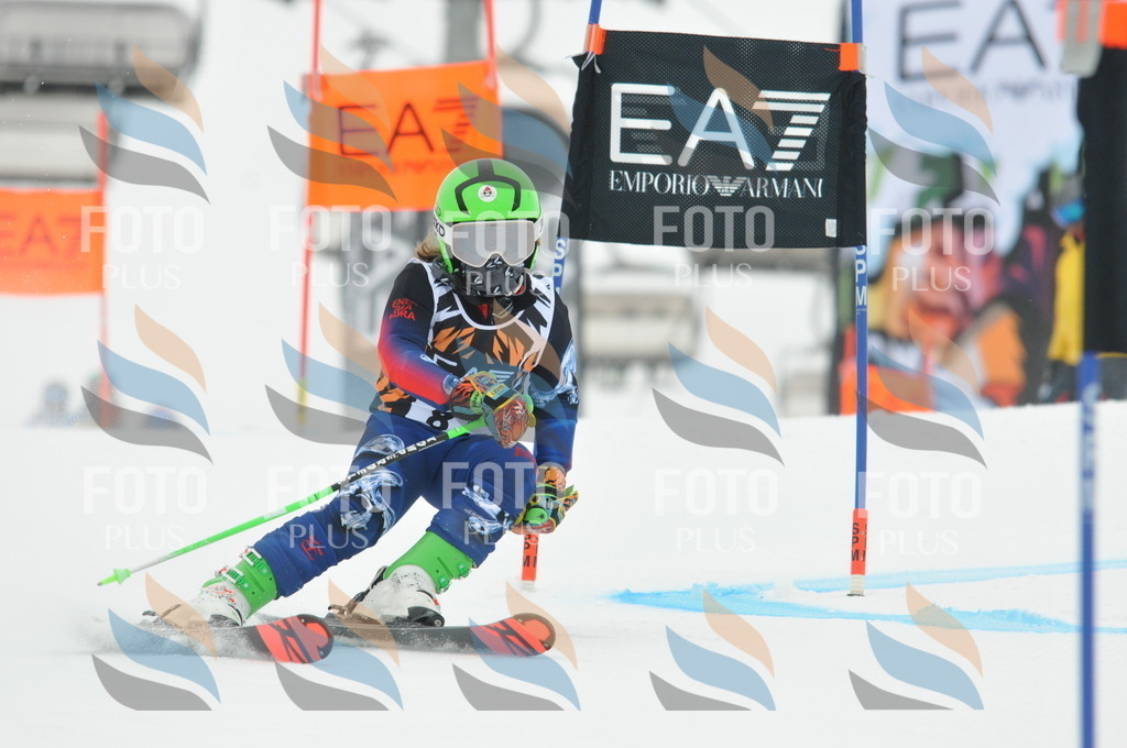 DSC_7915 | holidayphoto