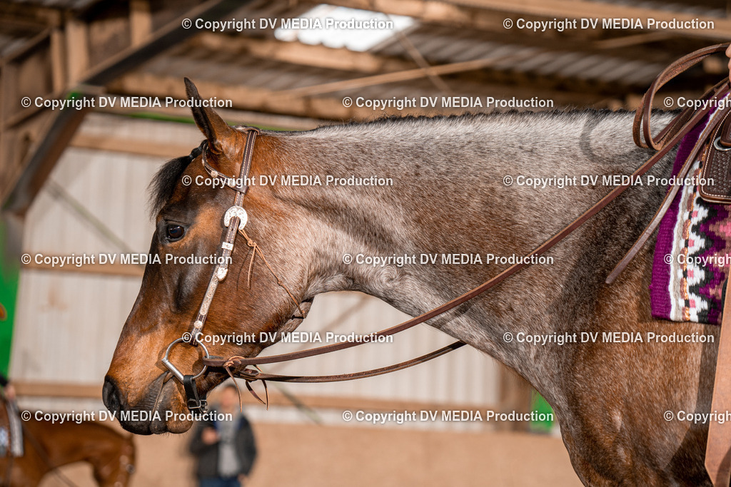 BA300643 | dv-media-shop - Realisiert mit Pictrs.com