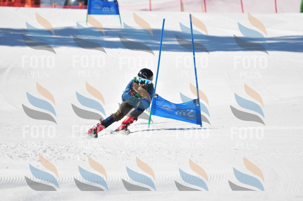 C3477 | holidayphoto