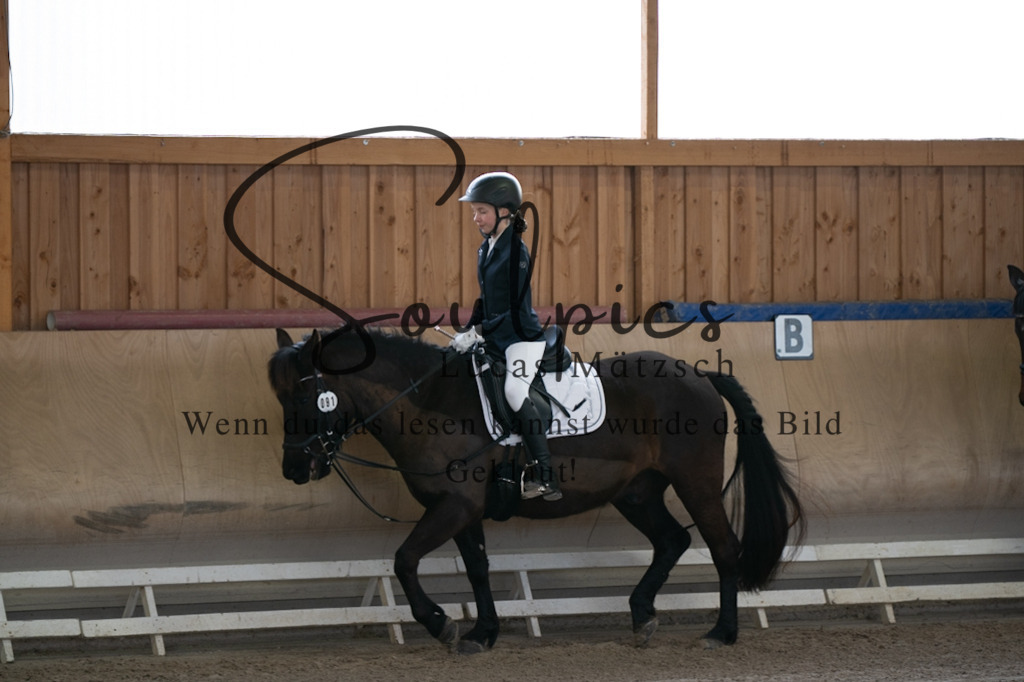 A7V09023 | Pferdefotograf