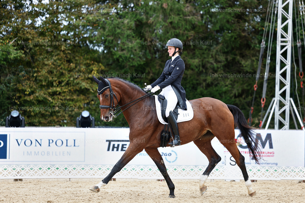 6-084-AMATUER-DRESSUR S_  -StoibPH-3567 | working equitationturnier fotograf videograf stoibphotography marixx film working equitation deutschland reitsport turnierfotografie eventfotografie equestrian events