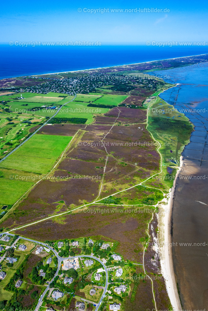 Sylt_Braderup_Braderuper_Heide_ELS_9339130825 | WENNINGSTEDT-BRADERUP (SYLT) 21.06.2025 Küstenbereich der Nordsee - Insel in Wenningstedt-Braderup (Sylt) Braderupper Heide Landschaft im Bundesland Schleswig-Holstein. // Coastal area of a??a??the North Sea - island in Wenningstedt-Braderup (Sylt) Braderupper Heide landscape in the state of Schleswig-Holstein. Foto: Martin Elsen
