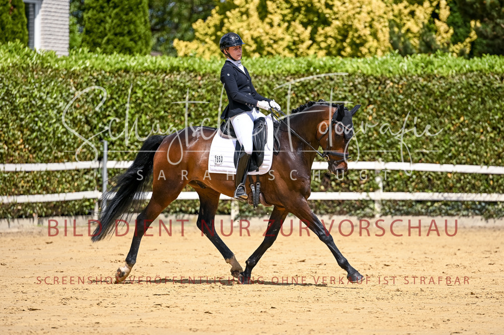 Schugtsche-Aluta25-49.Dressurpferdeprf.A-127 | Schugtsche Fotografie - Realisiert mit Pictrs.com