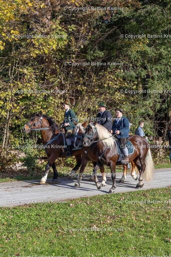 LBT24-573 | foto-bettina-krinner - Realisiert mit Pictrs.com