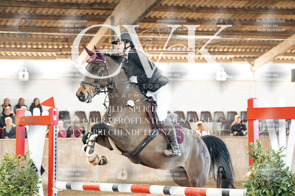 CK904224 | Turnierfotografie Pferdefotografie Trier Rheinland-Pfalz Pferdesport Reitsport Tierfotografie Sportfotografie Pferdevideo Pferdevideografie Equestrianvideography equestrianphotography  - Realized with Pictrs.com