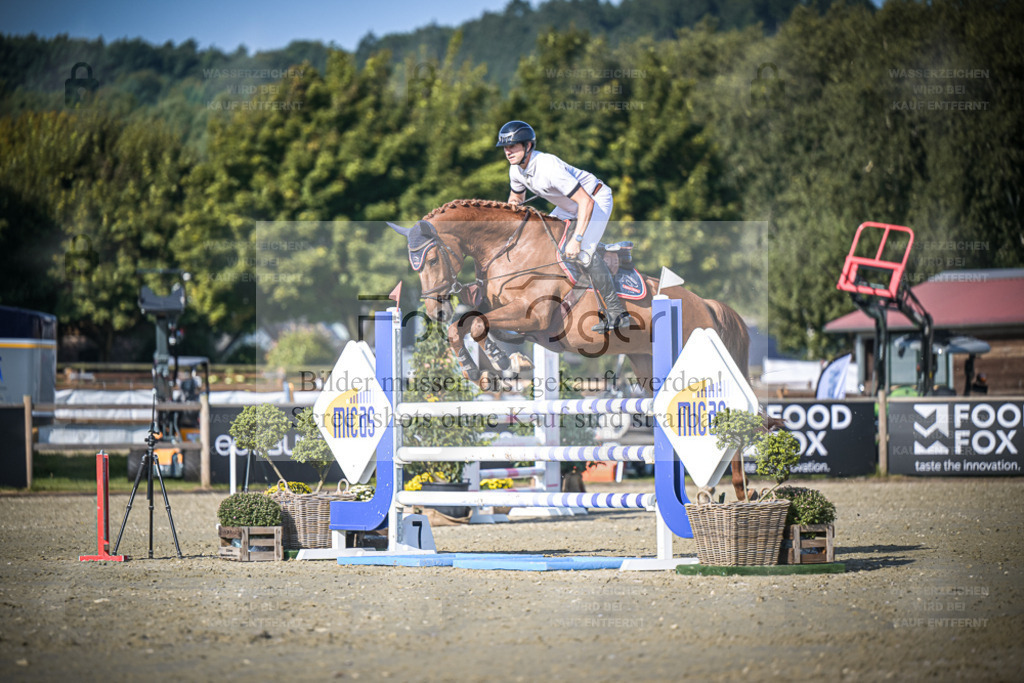 DOS_3358 | Entdecke hochwertige Reitturnierfotos von Foto Oger. Professionell, emotional und authentisch – jetzt Lieblingsmomente im Shop bestellen. - Realisiert mit Pictrs.com