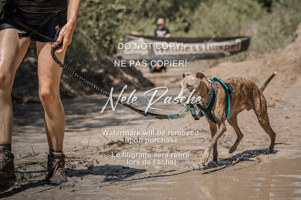 nelerasche_Hoope2026_Sa1400-1430_86 | nelerasche