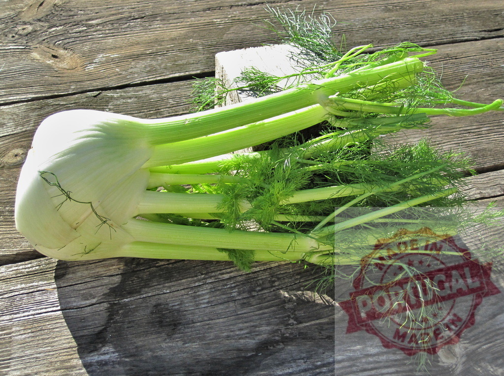 Fresh green fennel bulb on rustic wood surface | Close up of a whole raw fennel bulb with fronds on old wooden planks - Realized with Pictrs.com