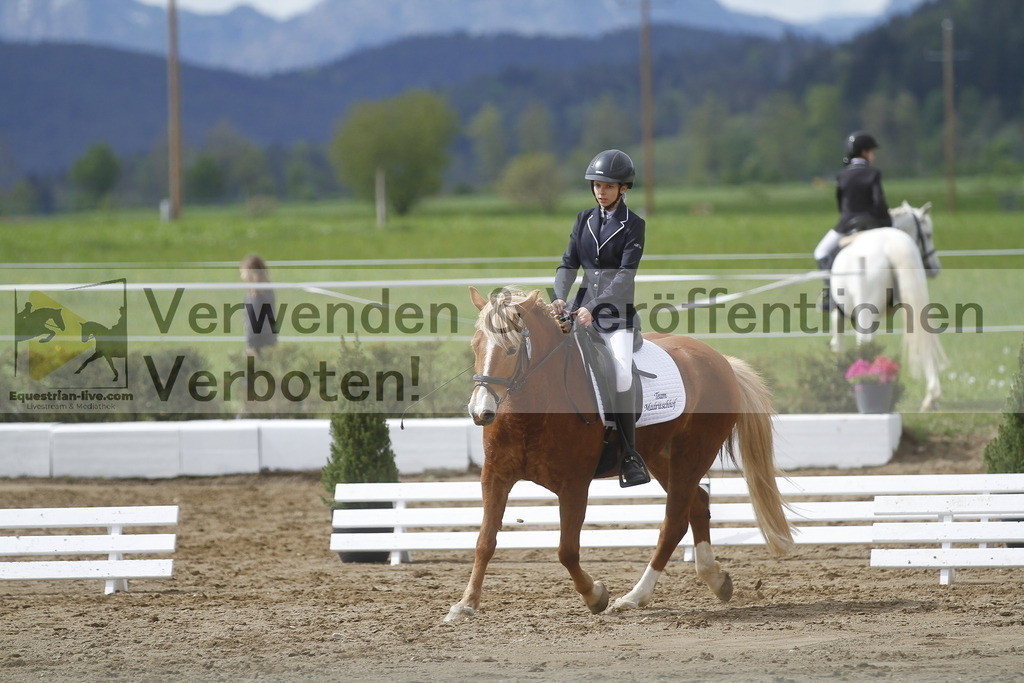 _MG_2937 | equestrian-live-com