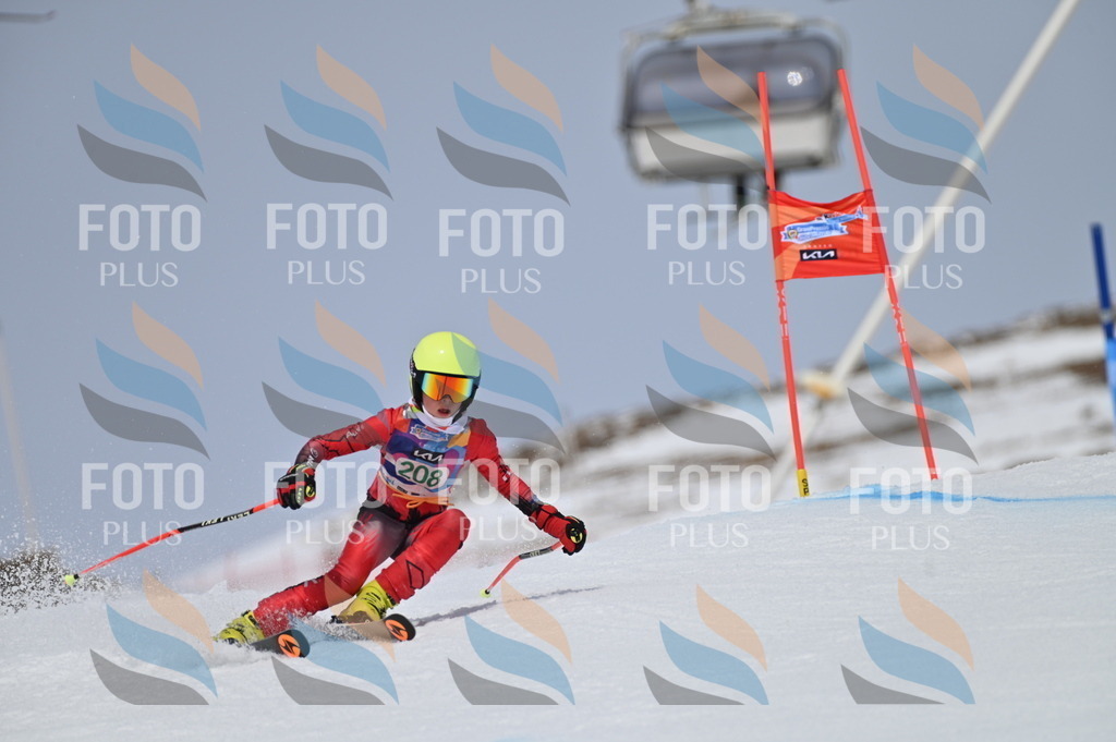 BGV_4011 | holidayphoto