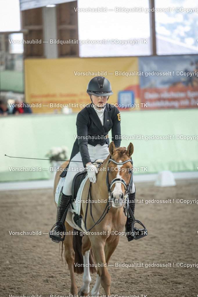 _D5A9458 | Emotionale Pferde- & People-Fotografie rund um Heidelberg, Leimen & Umgebung. Natürliche Fotos von Pferd, Mensch & Familie. Jetzt Termin sichern!