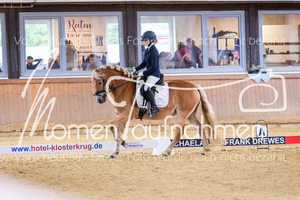 Sth-A-Dre-2St-028 | MomenTaufnahmen Pferdesportfotos