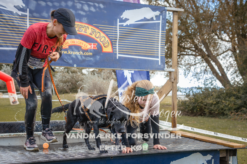 1410_ZZ93601-2 | kk-dogfotos