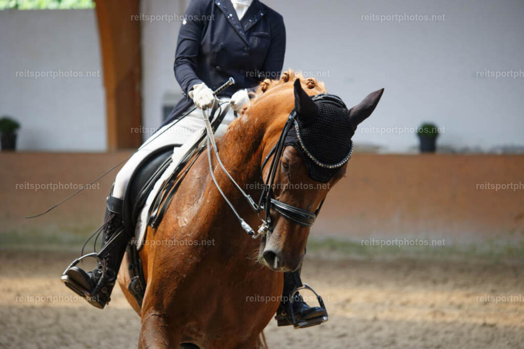 JHE_3461 | JoYa Fotografie - Realisiert mit Pictrs.com