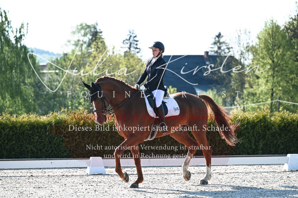 20230514_JK-Röhrsdorf-18-003 | Pferde- und Turnierfotografie in Westsachsen. Pferdeportraits, Auftragszeichnungen und intuitive Kunst.