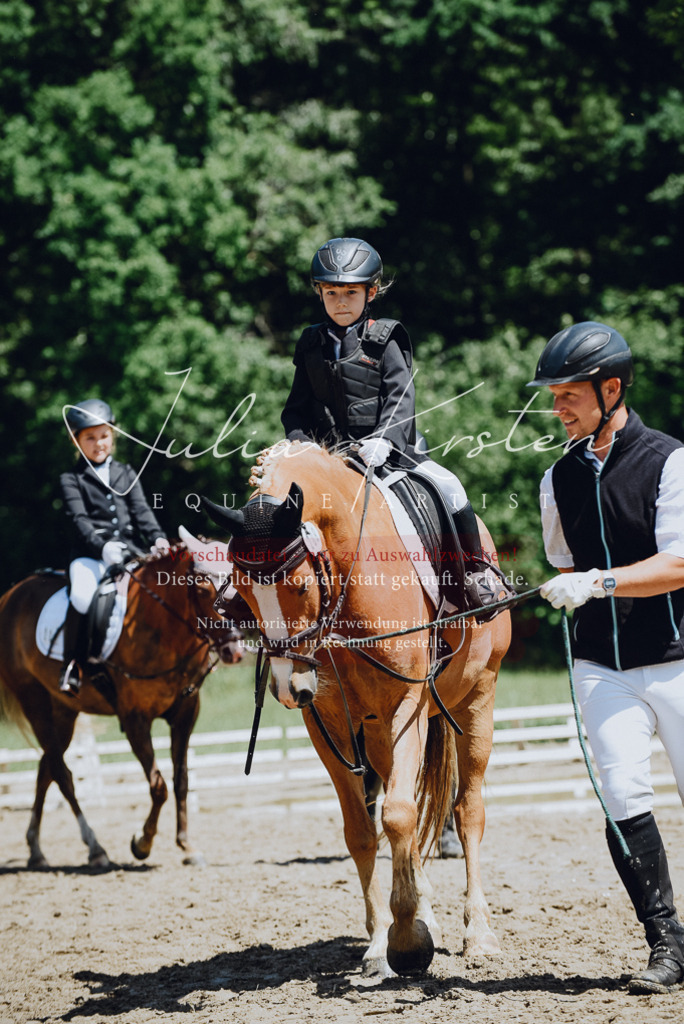 DSC_2583 | Pferde- und Turnierfotografie in Westsachsen. Pferdeportraits, Auftragszeichnungen und intuitive Kunst.