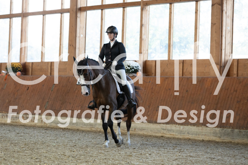 IMG_5499 | Creatify Fotografie