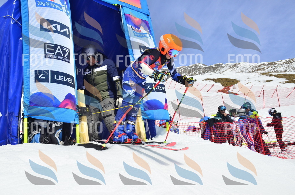 _ELE1670 | holidayphoto