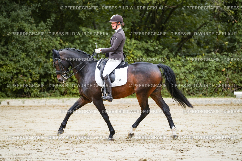 DSC08682 | Pferdegrafie