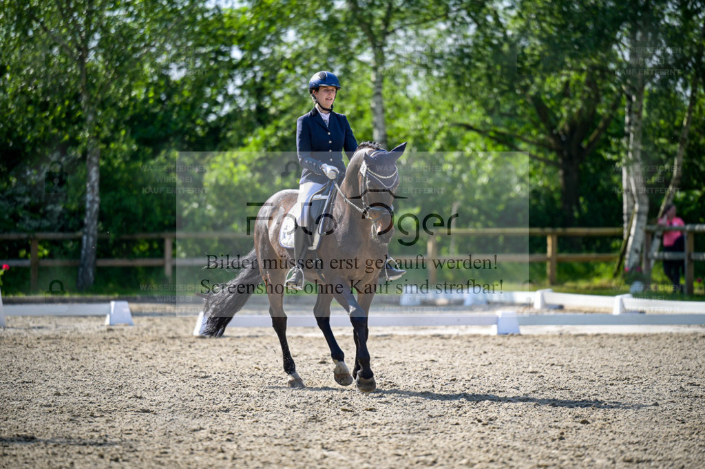 Reitturnier Lienen | Entdecke hochwertige Reitturnierfotos von Foto Oger. Professionell, emotional und authentisch – jetzt Lieblingsmomente im Shop bestellen. - Realisiert mit Pictrs.com