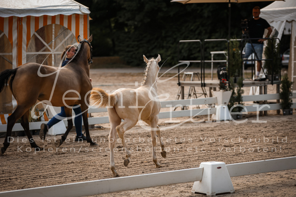 10.DoRP00059 | Leoni Ertmer Photography - Realisiert mit Pictrs.com