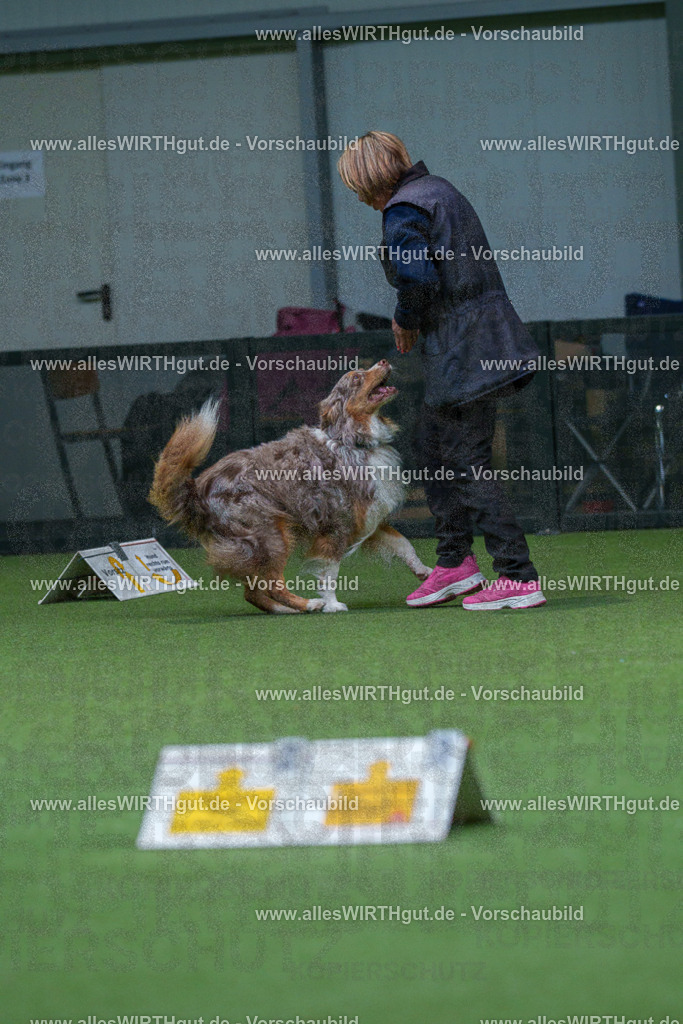 7R506382 | Professionelle Tierfotografie in Mönchengladbach von Daniel Wirth (allesWIRTHgut). Liebevolle & natürliche Bilder von Hunden & Katzen für unvergessliche Erinnerungen.