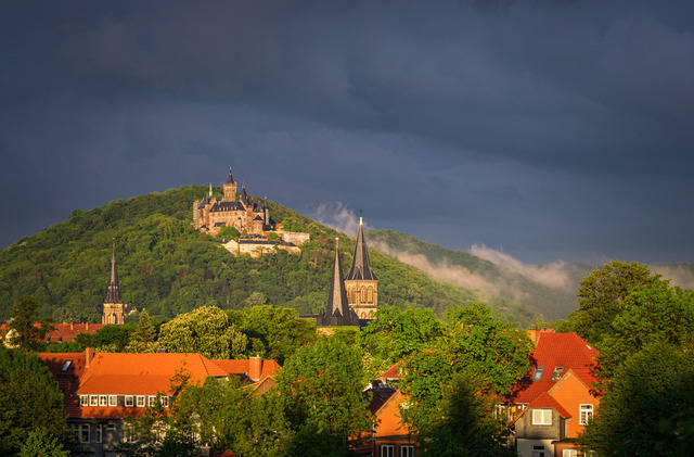20220520-DSC00608__HQ | Fotos aus Wernigerode - Realisiert mit Pictrs.com
