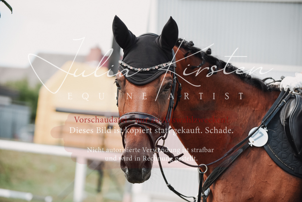 DSC_5640 | Pferde- und Turnierfotografie in Westsachsen. Pferdeportraits, Auftragszeichnungen und intuitive Kunst.