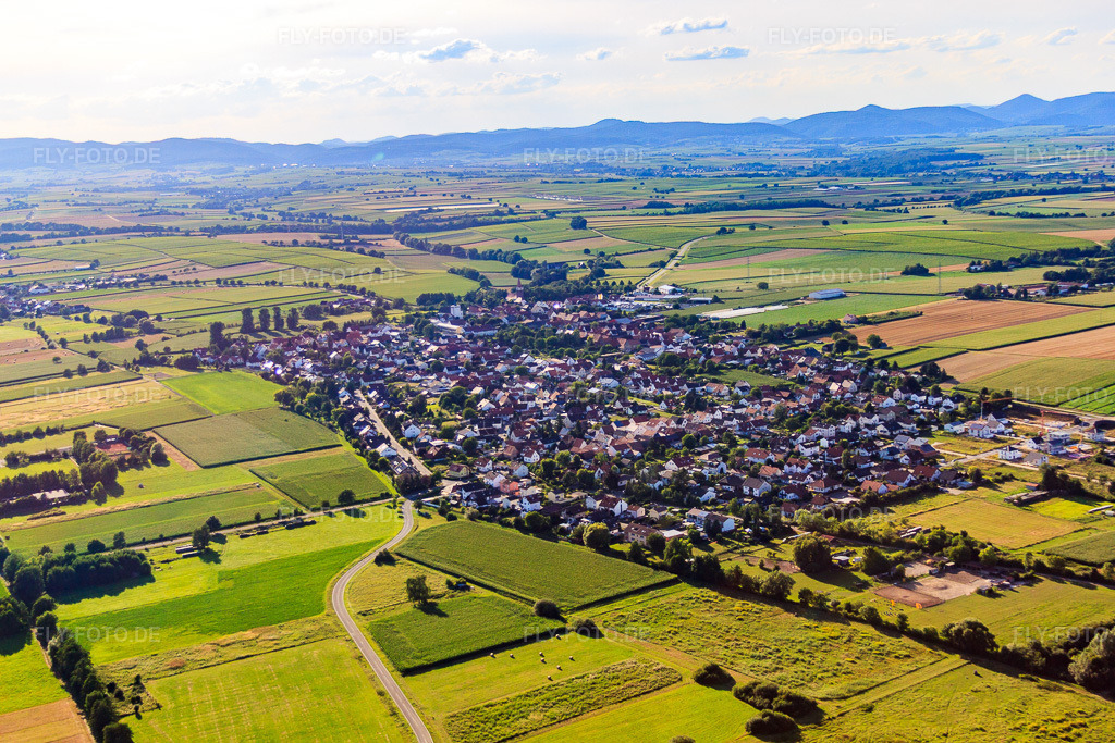 Luftbild: Dorfansicht von Südosten in Minfeld im Bundesland Rheinland-Pfalz in Deutschland. Foto: IMG_51182.jpg vom 04.08.2012 durch Werner Riehm/FLY-FOTO.de