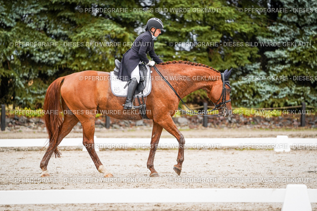 DSC09610 | Pferdegrafie