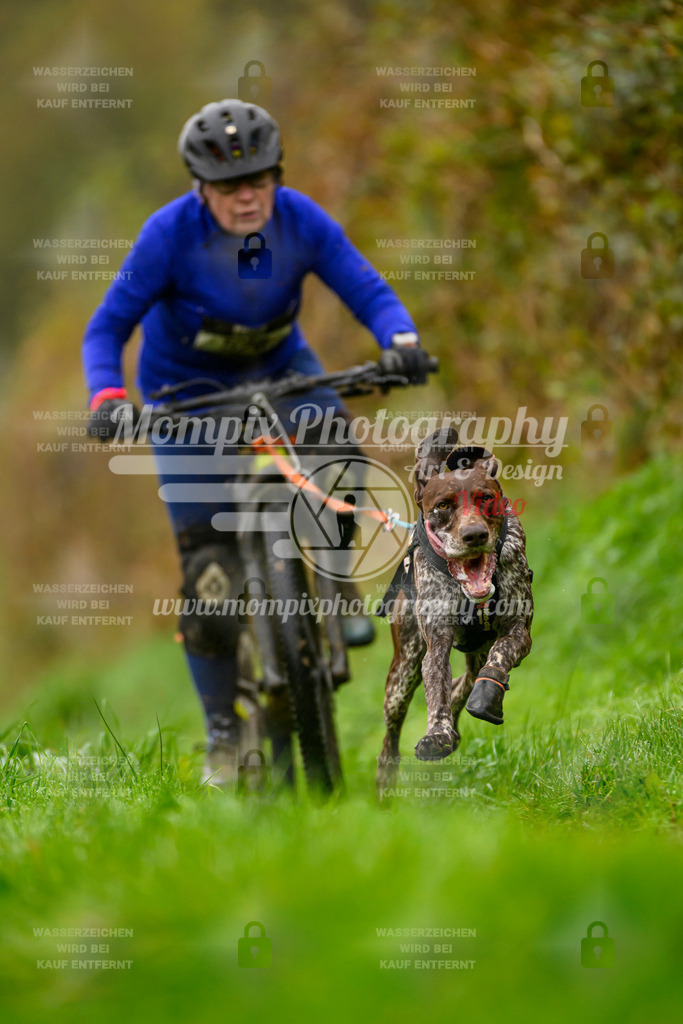 MompixPhotography_20TSB_E8_Bike-96 | PayLife