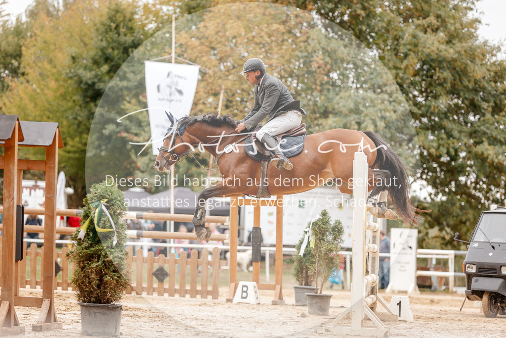 3I6A8591 | Stimmungsvolle Portraits und Reitsportfotografie im Ruhrgebiet und im Münsterland.

Pferdefotografie, Hundefotografie, Tierfotografie, Reportagen, Portraits von Tier und Mensch, Turnierfotografie in Bochum, Recklinghausen, Marl, Haltern am See, Dülmen.. - Realisiert mit Pictrs.com