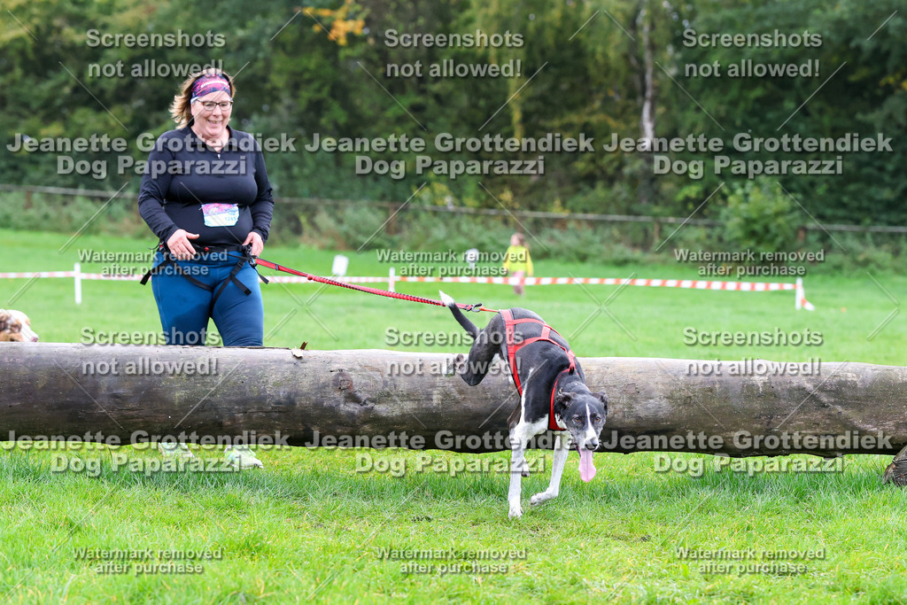 Dog Paparazzi -  SD1026-1082 | Dog Paparazzi Jeanette Grottendiek Fotografie & Videografie - Realisiert mit Pictrs.com