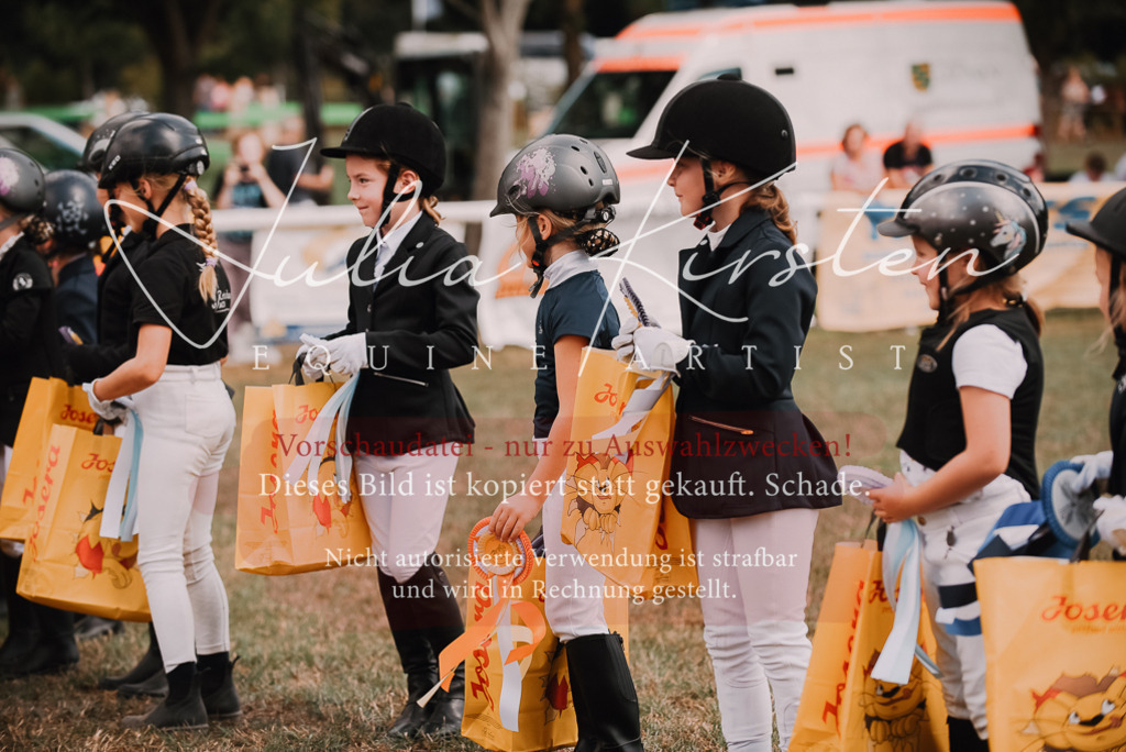 DSC_6398 | Pferde- und Turnierfotografie in Westsachsen. Pferdeportraits, Auftragszeichnungen und intuitive Kunst.