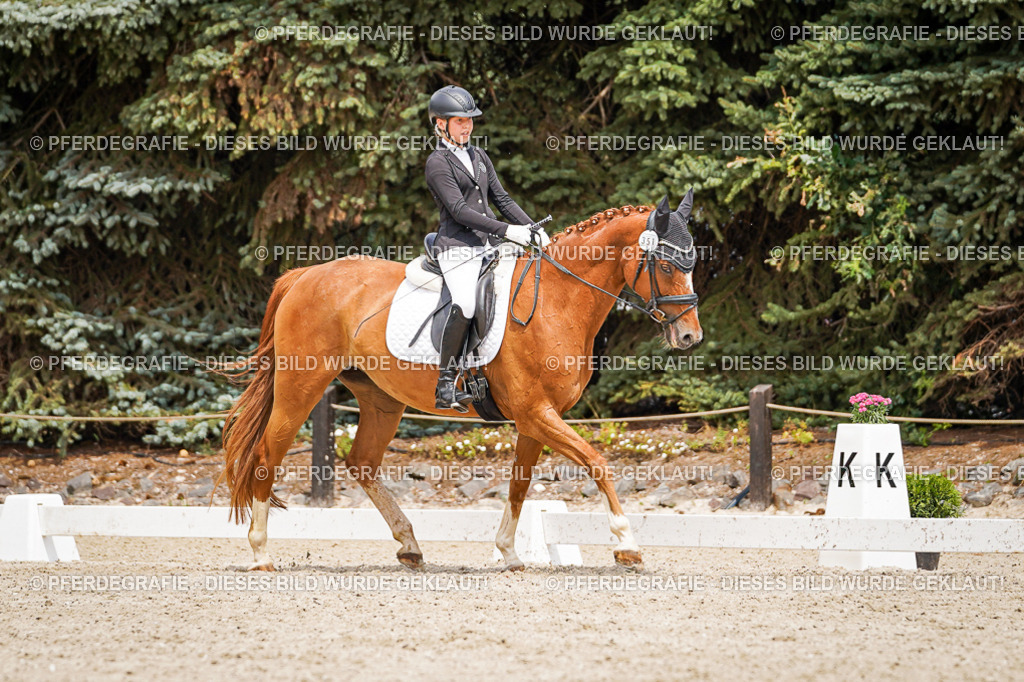 DSC03938 | Pferdegrafie