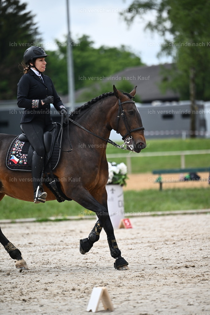 PI26_SP_Sara_Landvogt_226_4463.JPG | working equitationturnier fotograf videograf stoibphotography marixx film working equitation deutschland reitsport turnierfotografie eventfotografie equestrian events