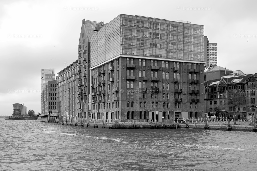 Hamurg_Arts-027 | Photo Foto Kunst Art schwarzweiss Bilder Rheine Münster Berlin Blumen 