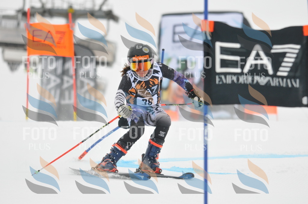 DSC_7615 | holidayphoto